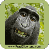 Scimmia divertente