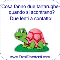 Cosa fanno due tartarughe quando si scontrano?
