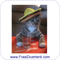 Gatto Divertente Drink